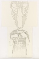 Simon Benson, 'Horsehead Metamorphosis', 2015, grafiet/2 vellen papier, 2 x 1.63 m.
PHŒBUS•Rotterdam